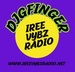 Iree Vybz Radio Logo