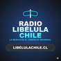 LibelulaChile señal 1