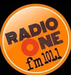 Radio One Fm 101.1 Logo