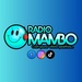 RADIO MAMBO Logo