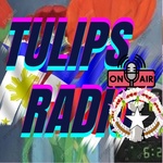 Tulips Radio Logo