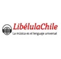 Libélula Chile - señal 3