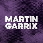 DFM - Martin Garrix Logo