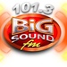 101.3 Big Sound FM - DWDC Logo