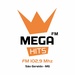 Rádio Mega Hits 102,9 FM Logo