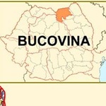 Radio Bucovina Logo