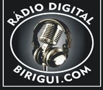 Rádio Web Digital Birigui 89.0 Logo