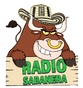 Radio Sabanera