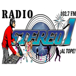 Radio Stereo 1 Al Tope Logo