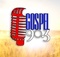 Gospel 90.3 - WLVF-FM Logo
