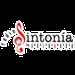 Radio Sintonia Logo