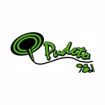 Radio Pudeto Logo