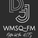 WMSQ-FM Radio Logo