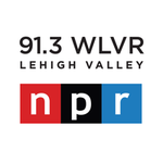 91.3 WLVR - WLVR Logo