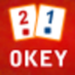 OkeyinYeri FM Logo