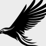 Nighthawk Radio Logo
