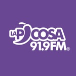 La Picosa 91.9 - XHYA Logo