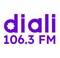 Radio Diali 106.3FM - CKIN-FM Logo