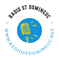 Radio ST Domineuc Logo