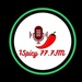 1SPICYFM Logo