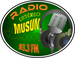 Radio Musun 93.3 FM Logo