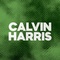 DFM - Calvin Harris Logo