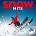 NRJ - Snow Hits Logo