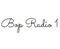 K-TOR5: Bop Radio 1 Logo