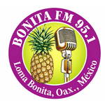 BONITA FM 951 Logo
