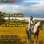 Rádio Gaúcho de Passo Fundo Logo