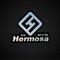 Radio Hermosa Logo