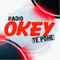 Radio Okey 91.9FM Logo