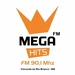 Rádio Mega Hits 90,1 FM Logo