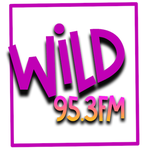 WILD 95.3 FM Logo