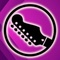 PurpleHaze Radio Logo
