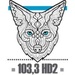 Coyote New Country - CHAA-HD2 Logo