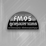 Ltm fm95 Logo