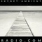 Skynet Ambient Radio Logo