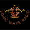 Sonic Wave Radio Logo