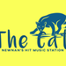 The Cat Newnan's Hit Music Station Logo