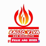 Radio Viva Logo