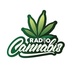 Radio Cannabis Logo