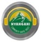 Nyangani Community Radio Station Logo
