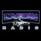 DeLorean Radio Logo