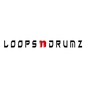 Loopsndrumz Music Station