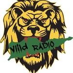 ViiLD Urban Logo