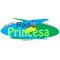Rádio Princesa 104.9 FM Logo