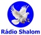 Rádio Shalom JF Logo