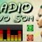Radio Novo Som Logo
