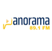 PANORAMA 89.1 FM Logo